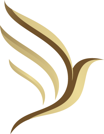 Splash Business Group